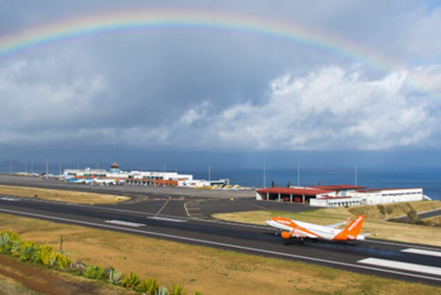 Santo da Serra Sunday Market -tour-madeira-island-02