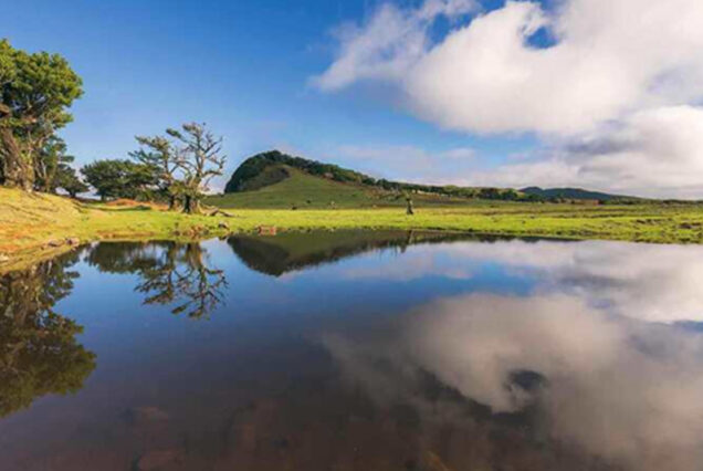 fanal-full-day-tour-madeira-island-01