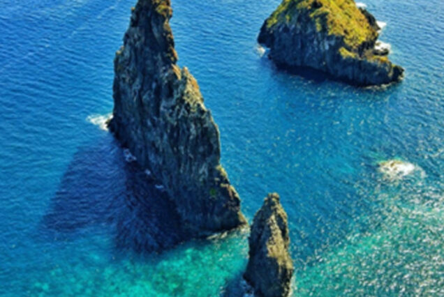 fanal-full-day-tour-madeira-island-06