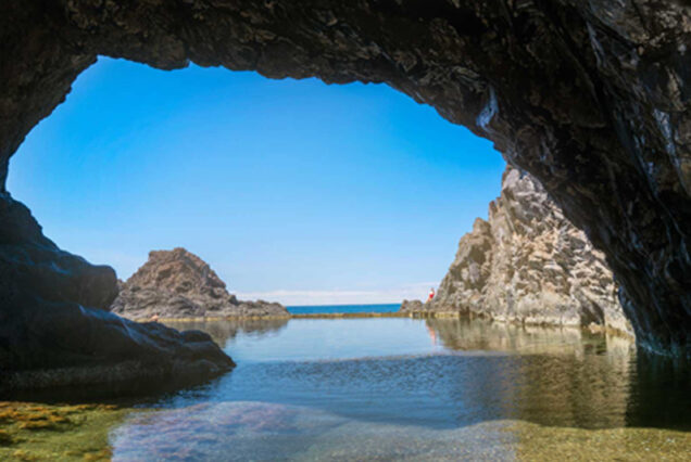 fanal-full-day-tour-madeira-island-07