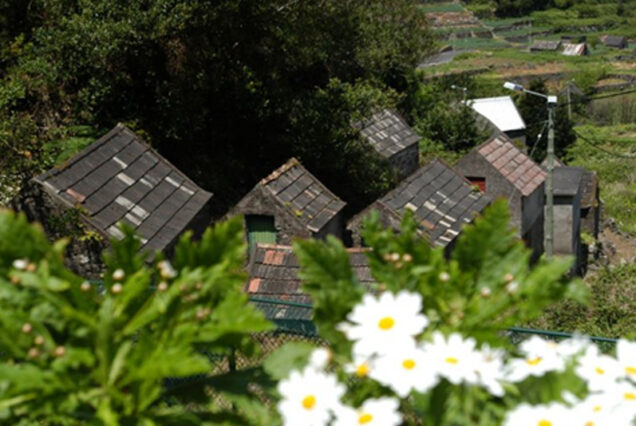 fanal-full-day-tour-madeira-island-08