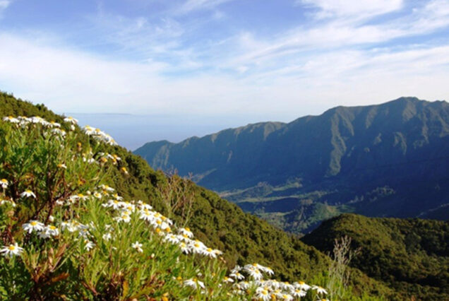 light-house-full-day-tour-madeira-island-03
