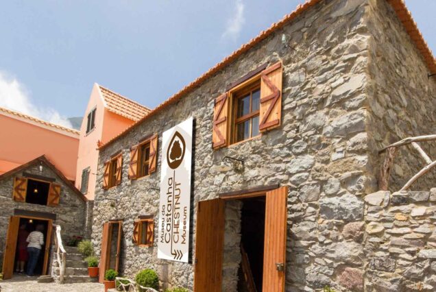 nuns-valley-Half-day-tour-madeira-island-03